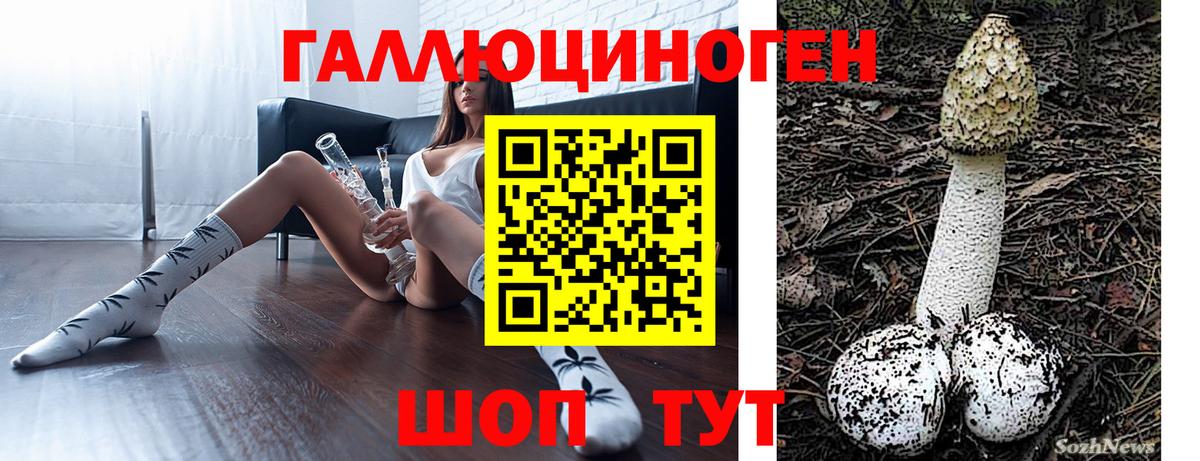 Знаменск  Галлюциногенные грибы GOLDEN TEACHER  Вход с VPN  Галлюциногенные грибы Psilocybe 